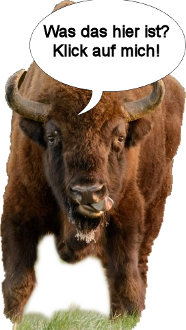 sprechendes Wisent